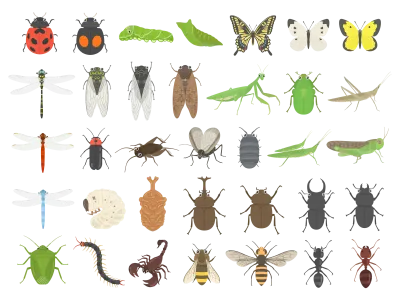 いろいろな昆虫のイラストセット