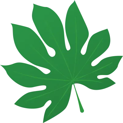 여름 트로피컬 나뭇잎