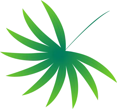 여름 트로피컬 나뭇잎