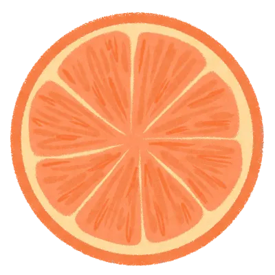 신선한 과일 오렌지 단면