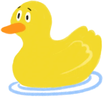 Ordinary duck