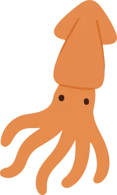 오징어 일러스트