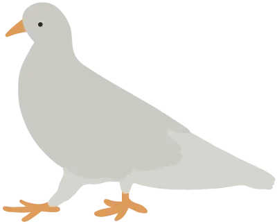 비둘기