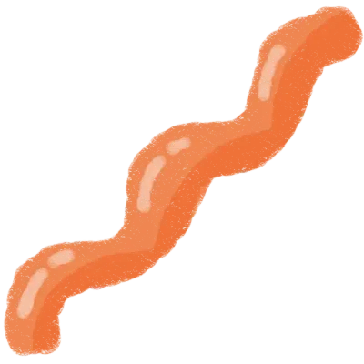 Wavy Orange Brush Stroke Element Hand Drawn Decorative Line