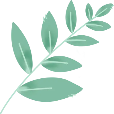 민트색 잎사귀