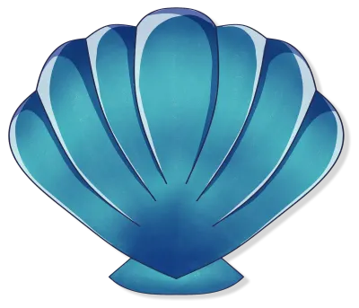 파란색 조개 껍데기 일러스트