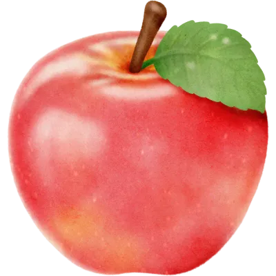 Red Apple  hand drawn illustration