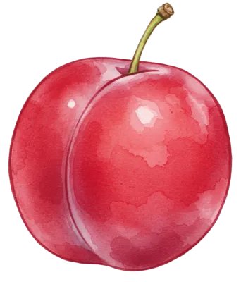 さわやかな夏のフルーツ水彩風