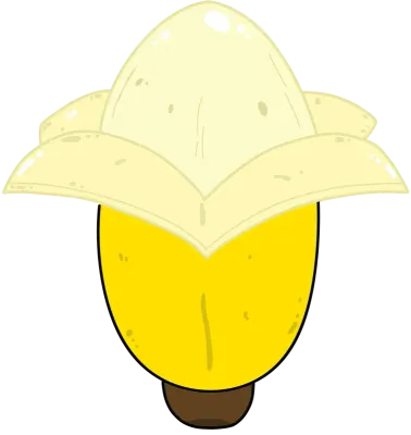 바나나 (banana)