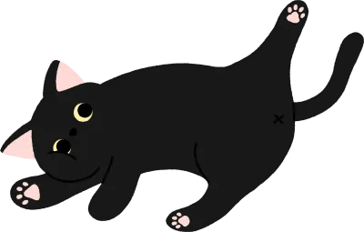 벌러덩 누운 고양이