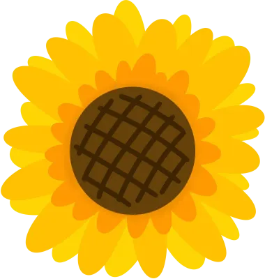 해바라기