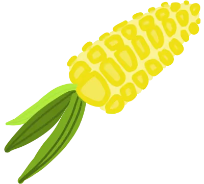 옥수수,토끼,음료수,썬로션,모자