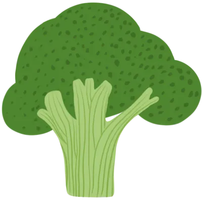 단순한 일러스트레이션 스타일의 녹색 브로콜리입니다. 신선한 야채