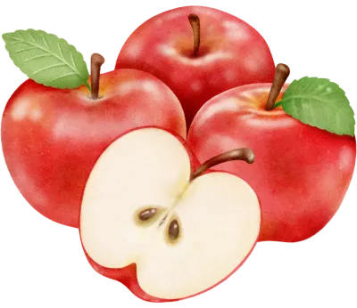 Red Apple Watercolor style illustration