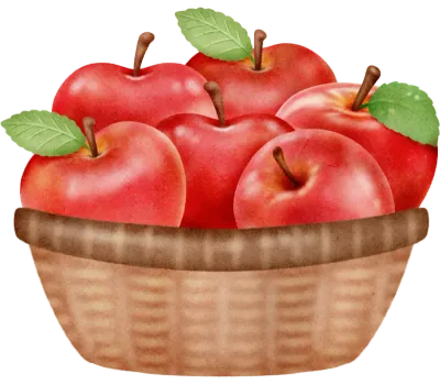 Apple and wooden basket illustration