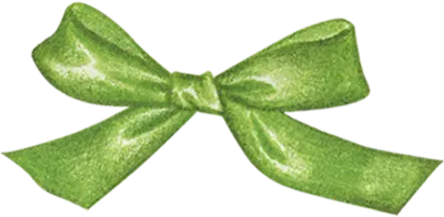반짝이는 초록 리본