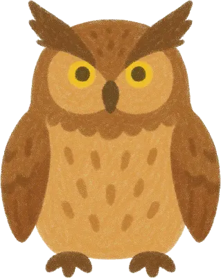 부엉이