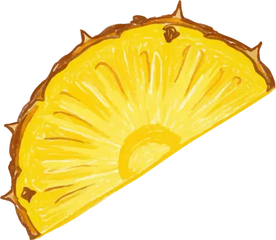 パイナップルの断面カット水彩風イラスト