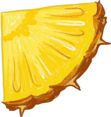 パイナップルの断面カット水彩風イラスト