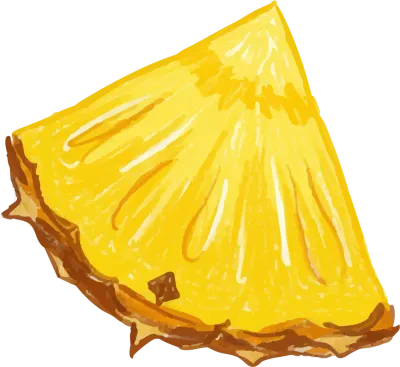 パイナップルの断面カット水彩風イラスト