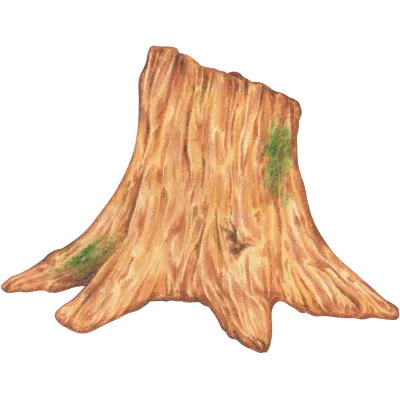 나무 그루터기 일러스트