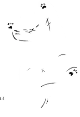 나른한 흰색 고양이