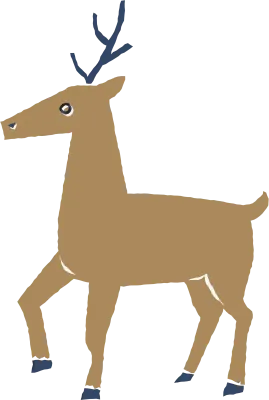 Reindeer