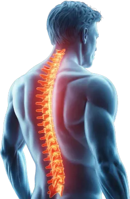 体の痛みと部位のイラスト