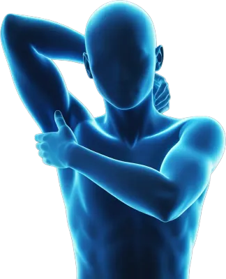 体の痛みと部位のイラスト