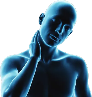 体の痛みと部位のイラスト