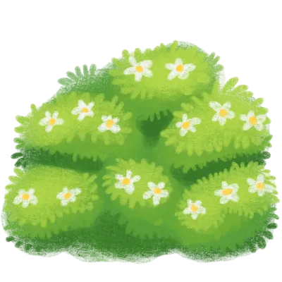 덤불 속 데이지 꽃