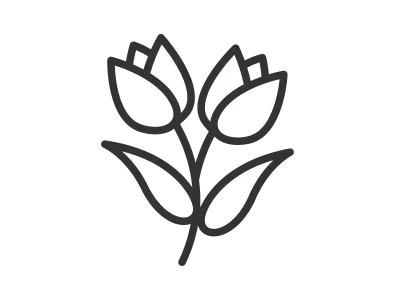 二輪のチューリップの花のアイコンのイラスト