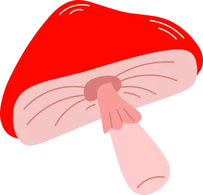 Simple Hand-Drawn Flat Red Mushroom Illustration