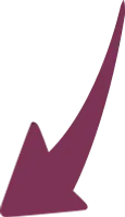 uni_biz_190131_vt_hb-03