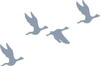 uni_190313_vt_yh_04