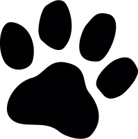uni_get_489125250_190507_vt_sa_01