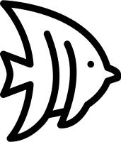 uni_get_969841592_190513_vt_sh_45
