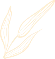 uni_get_467466425_190503_vt_sh_29