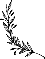 uni_get_540743414_190620_vt_sa_01