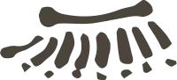 uni_19724_vt_sa_05