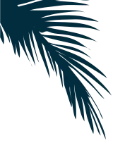 jv11177056_st_jy_02