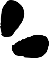 uni_190625_vt_yh_01
