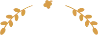 uni_19724_vt_sa_29