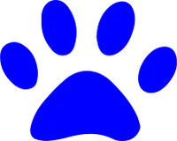get_457841177_190909_vt_hs_35