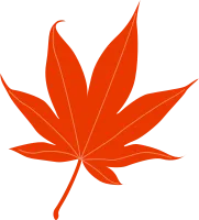 uto_20651068_190919_vt_sh_33