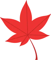 uto_20385778_190919_vt_sh_30