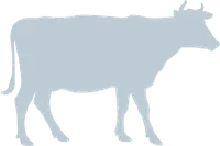 get_184704696_191018_vt_hs_02