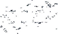 uni_191017_vt_ny_02