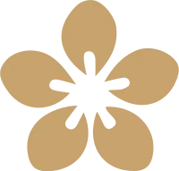 uto_21021658_191210_vt_sa_03