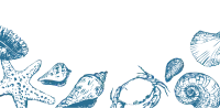 uni_191118_vt_sa_17